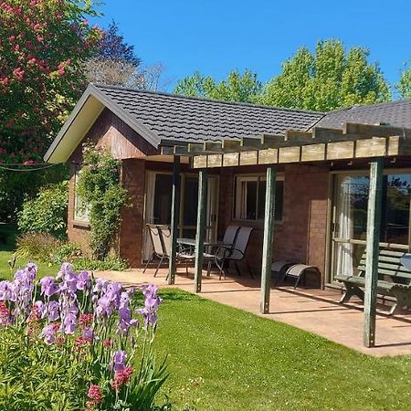 Dewdrop Cottage Hastings Buitenkant foto