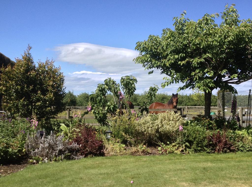 Dewdrop Cottage Hastings Buitenkant foto